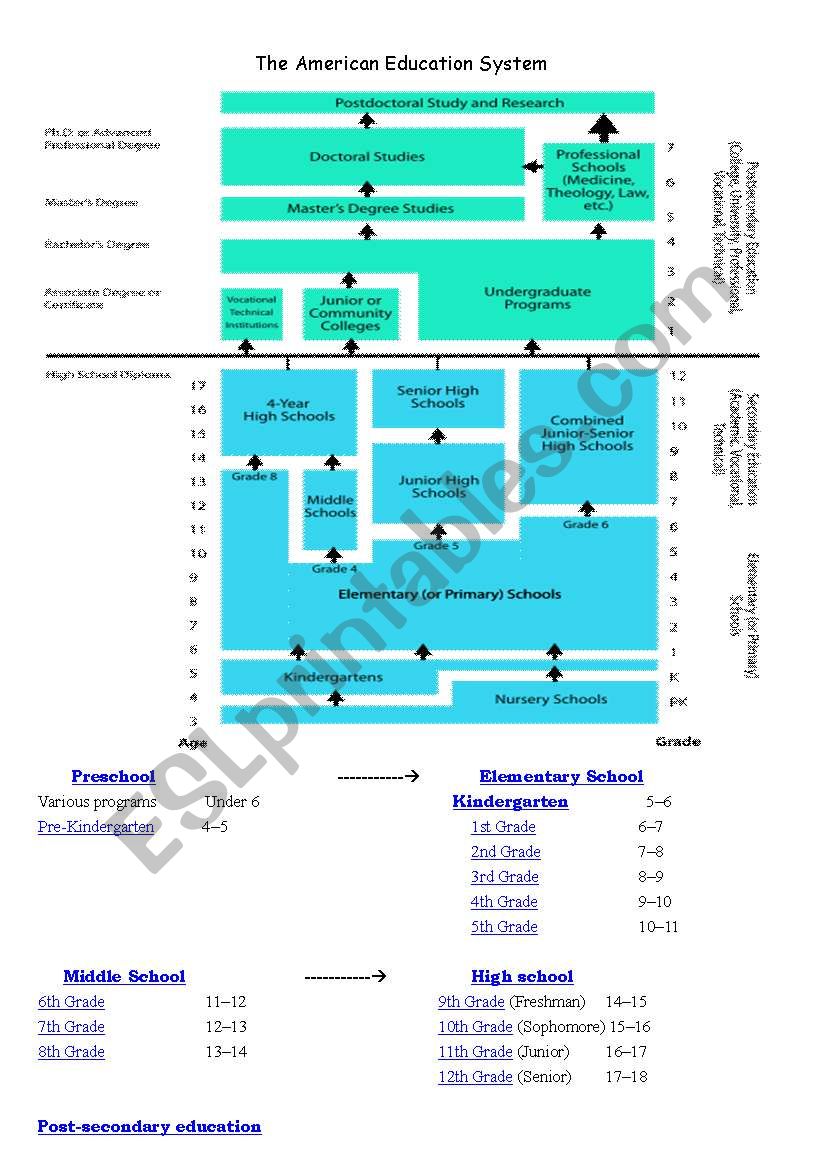 U.S Education System worksheet