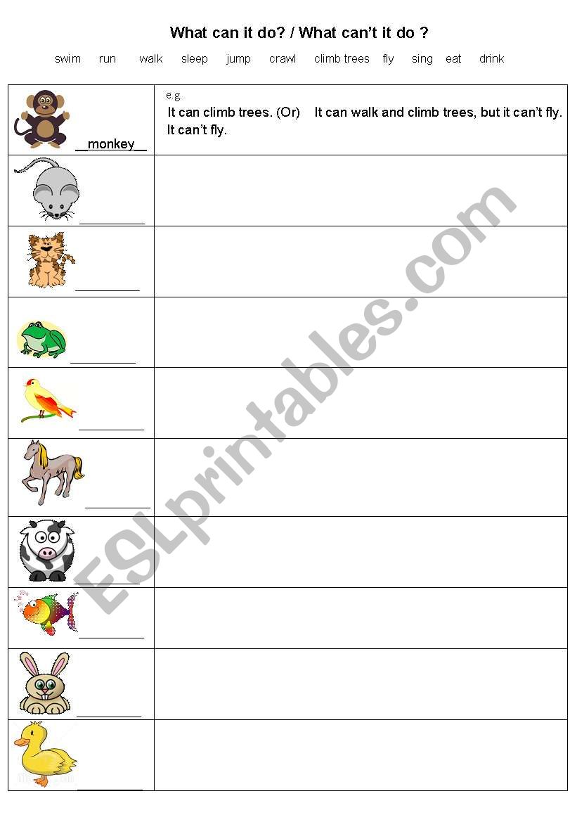 What can it do ? worksheet