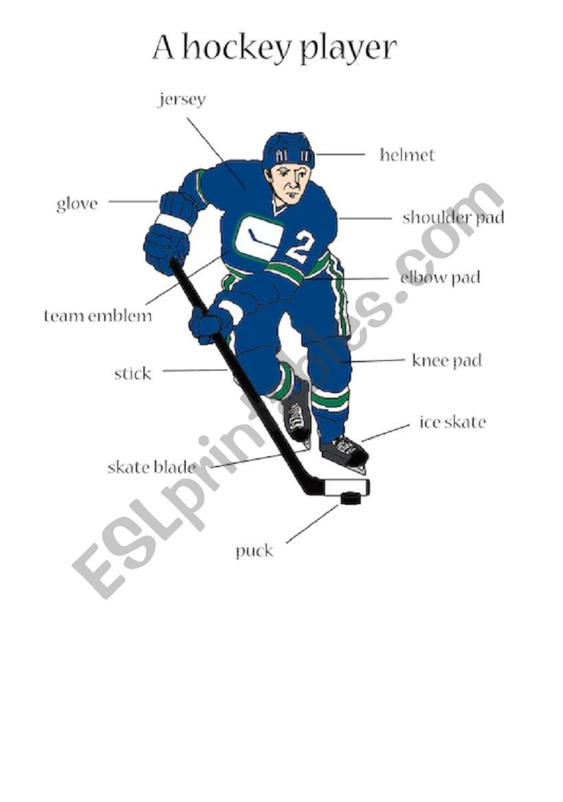 Hockey equipment worksheet