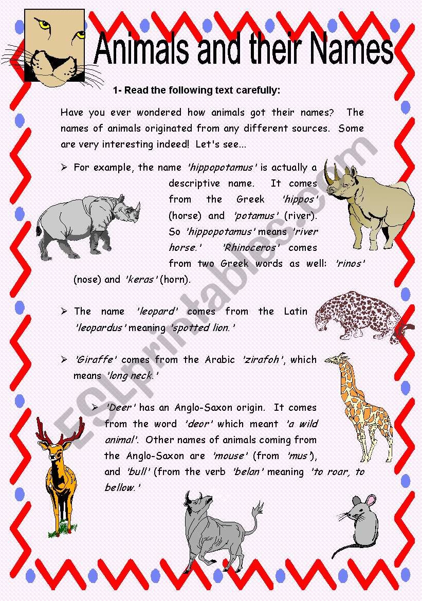 comprehension worksheets on animals