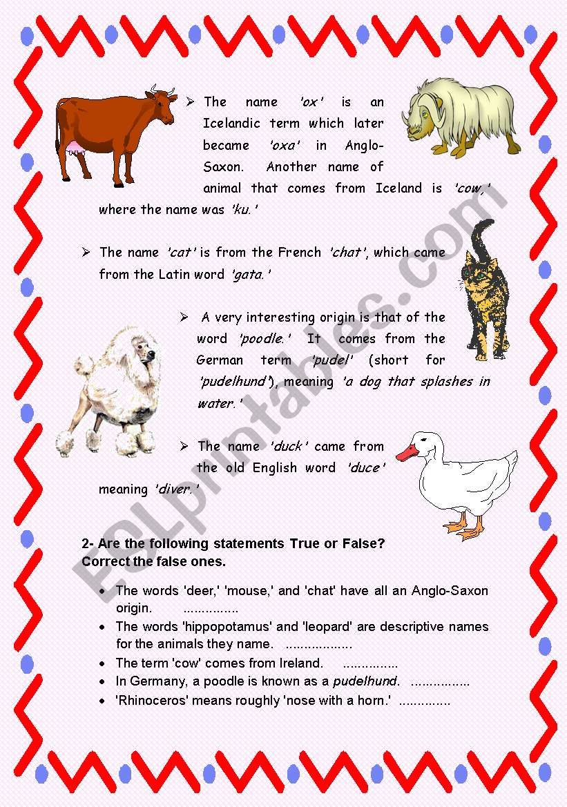 Animals and their Names - Reading Comprehension with Key - ESL worksheet by  carinaluc
