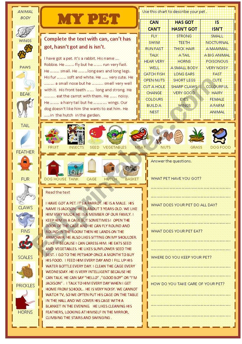 my pet worksheet