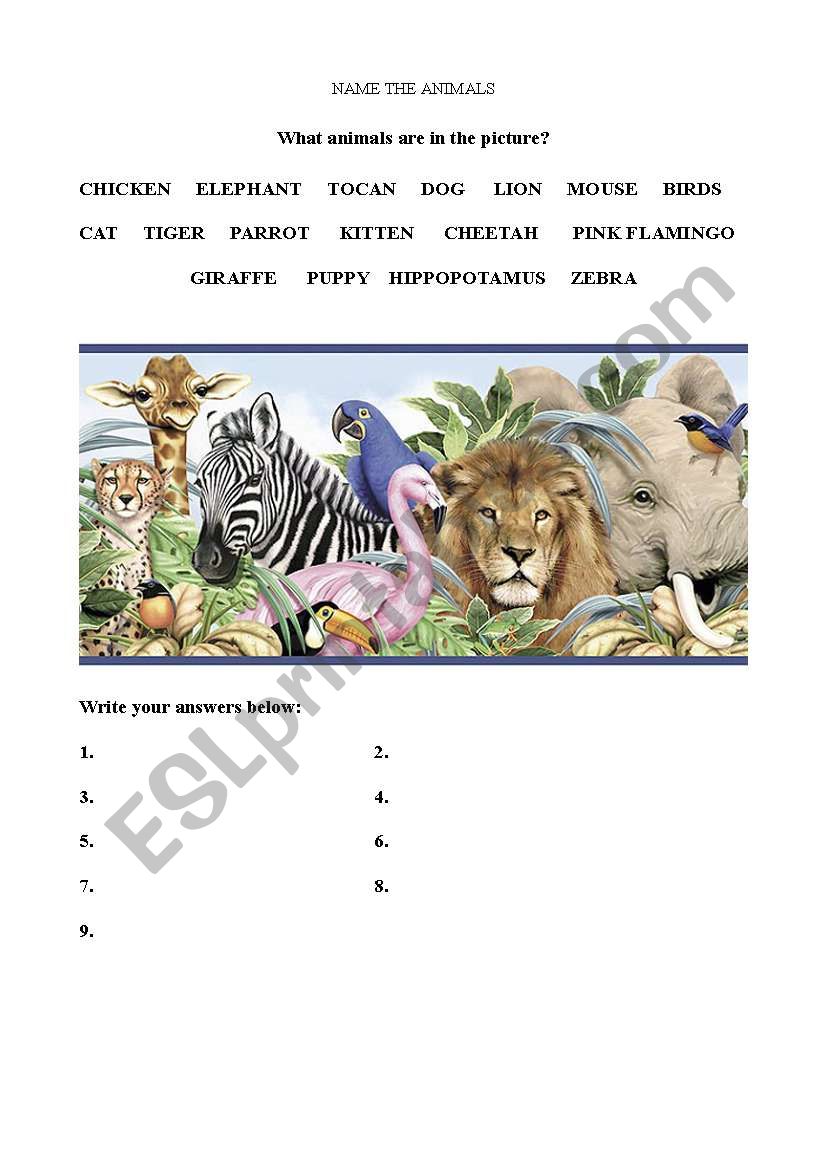 What Animals? worksheet