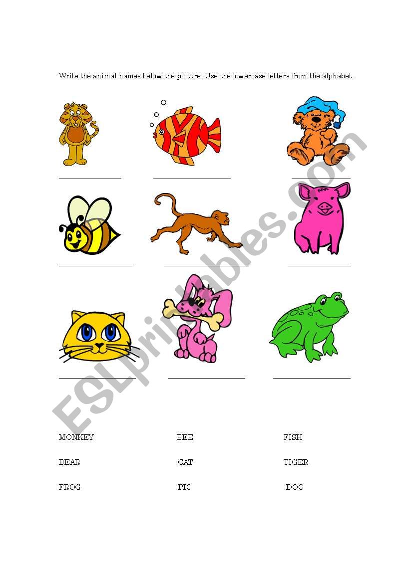 Animals worksheet