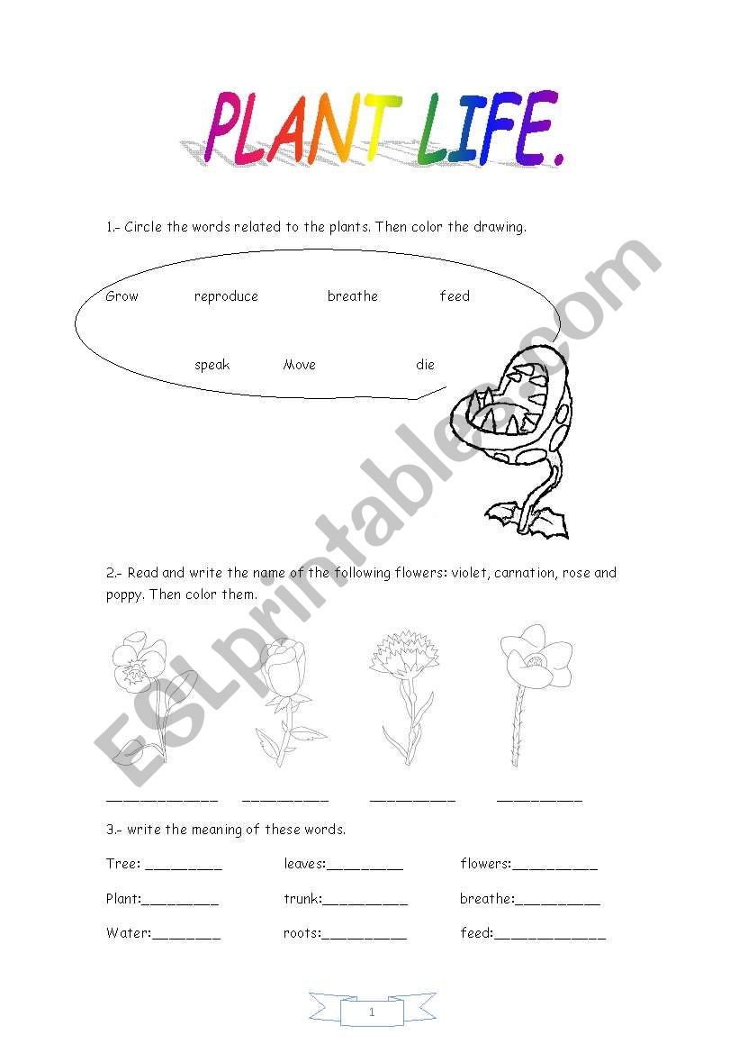 plants life worksheet