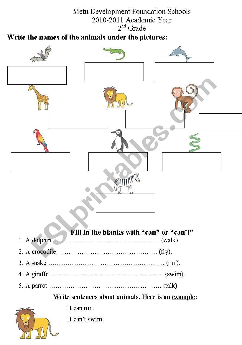 animals, toys and reading- revision