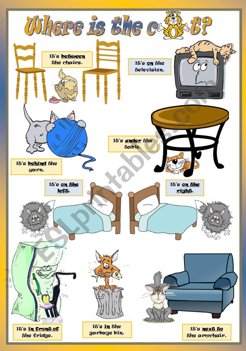 WHERE IS THE CAT? worksheet