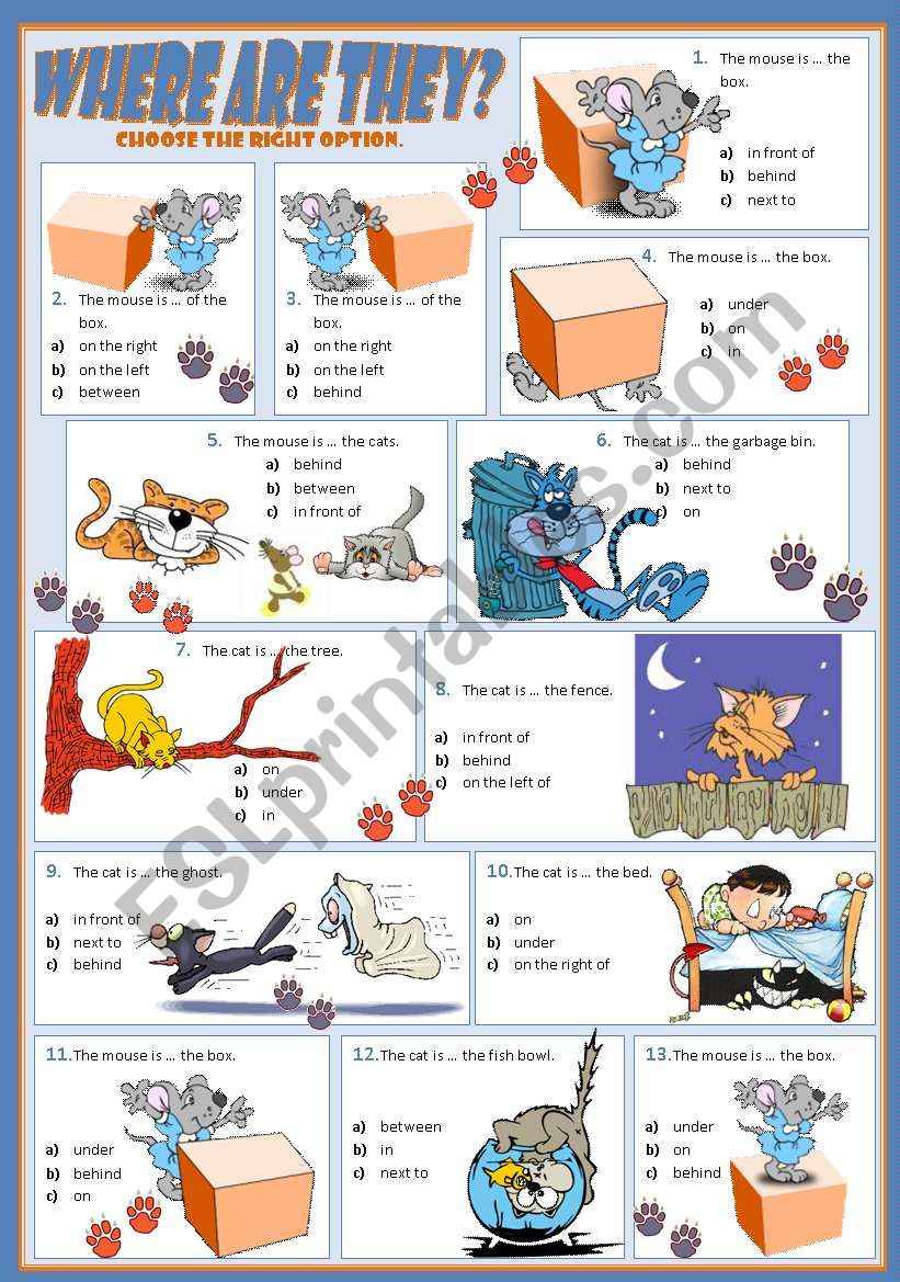 WHERE ARE THEY? worksheet