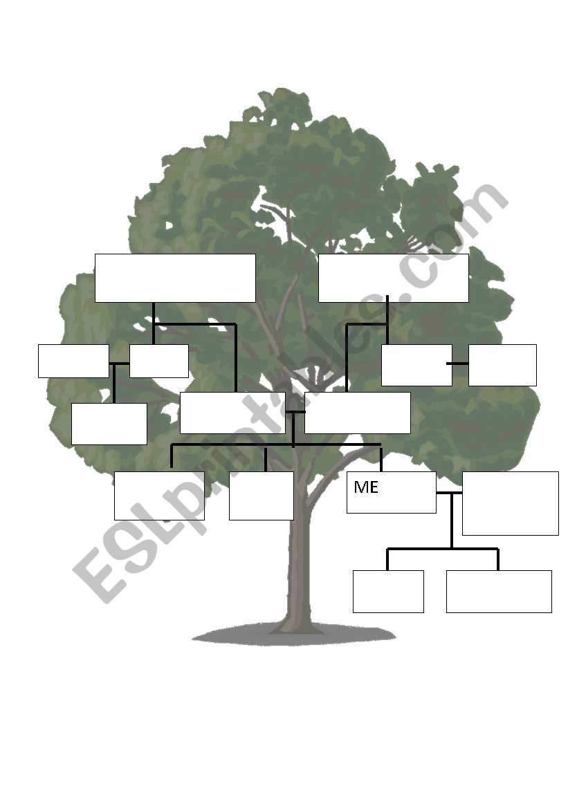 family tree worksheet