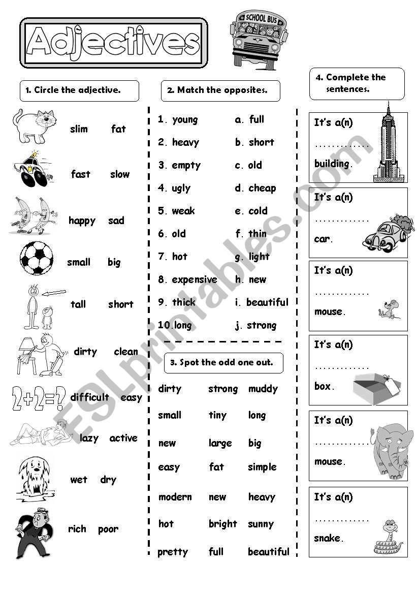 Adjective practice worksheet