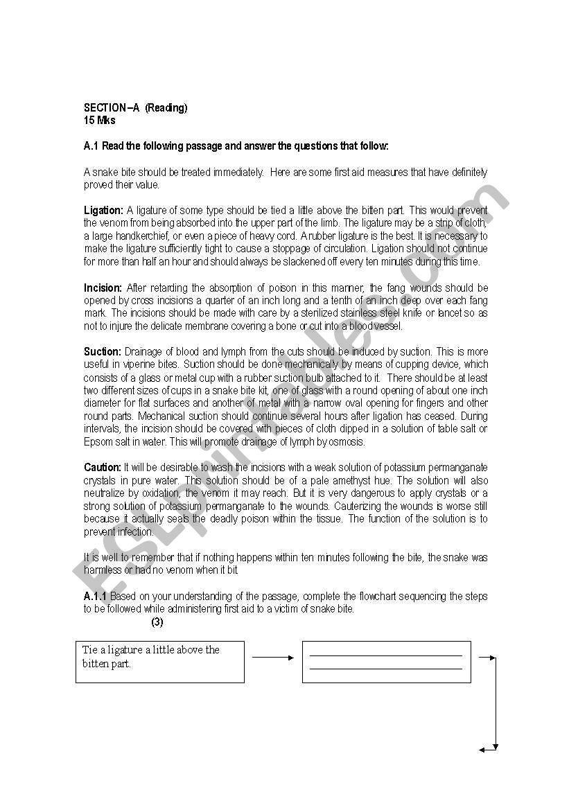 english worksheet worksheet