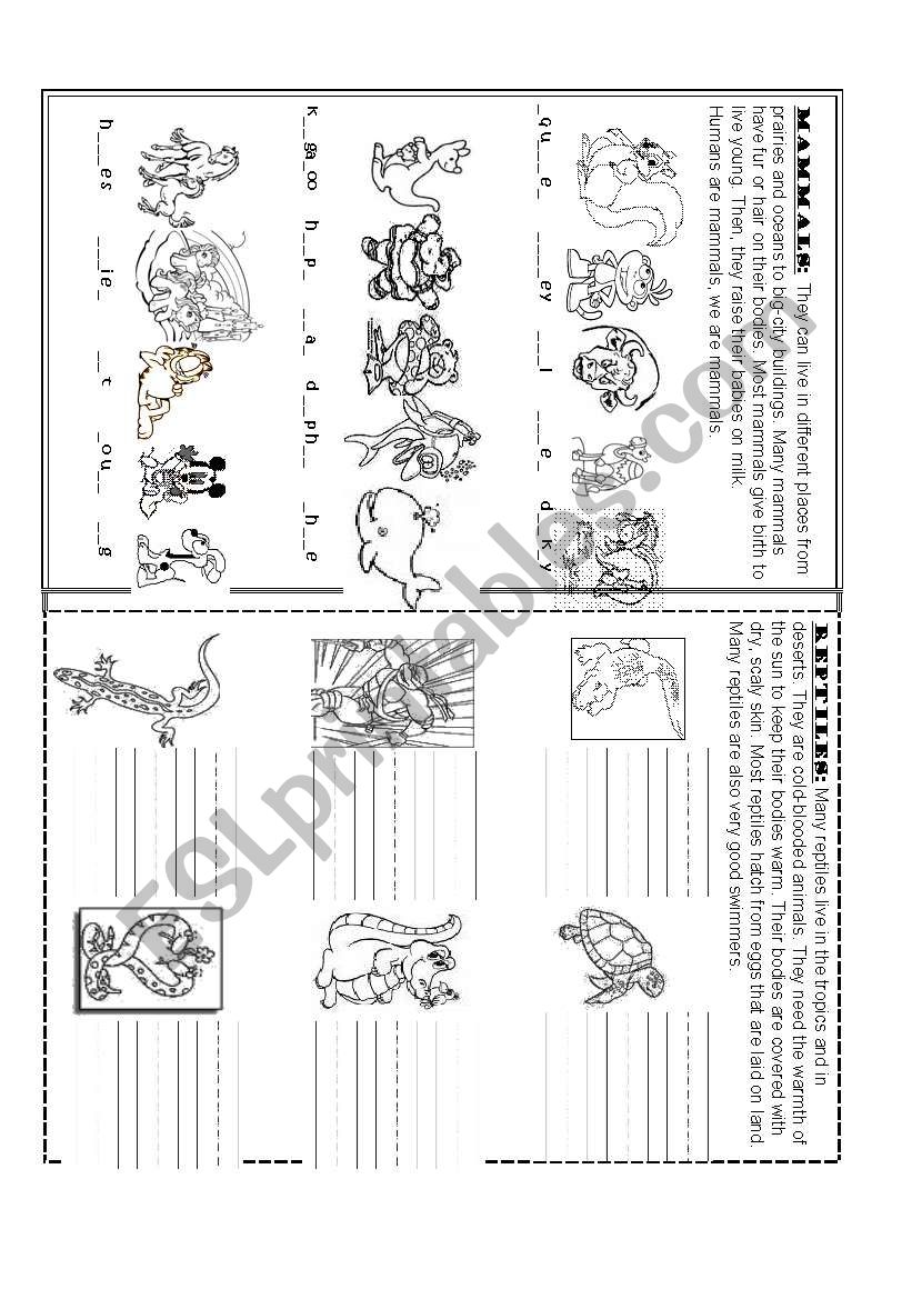 Mammals and Reptiles worksheet