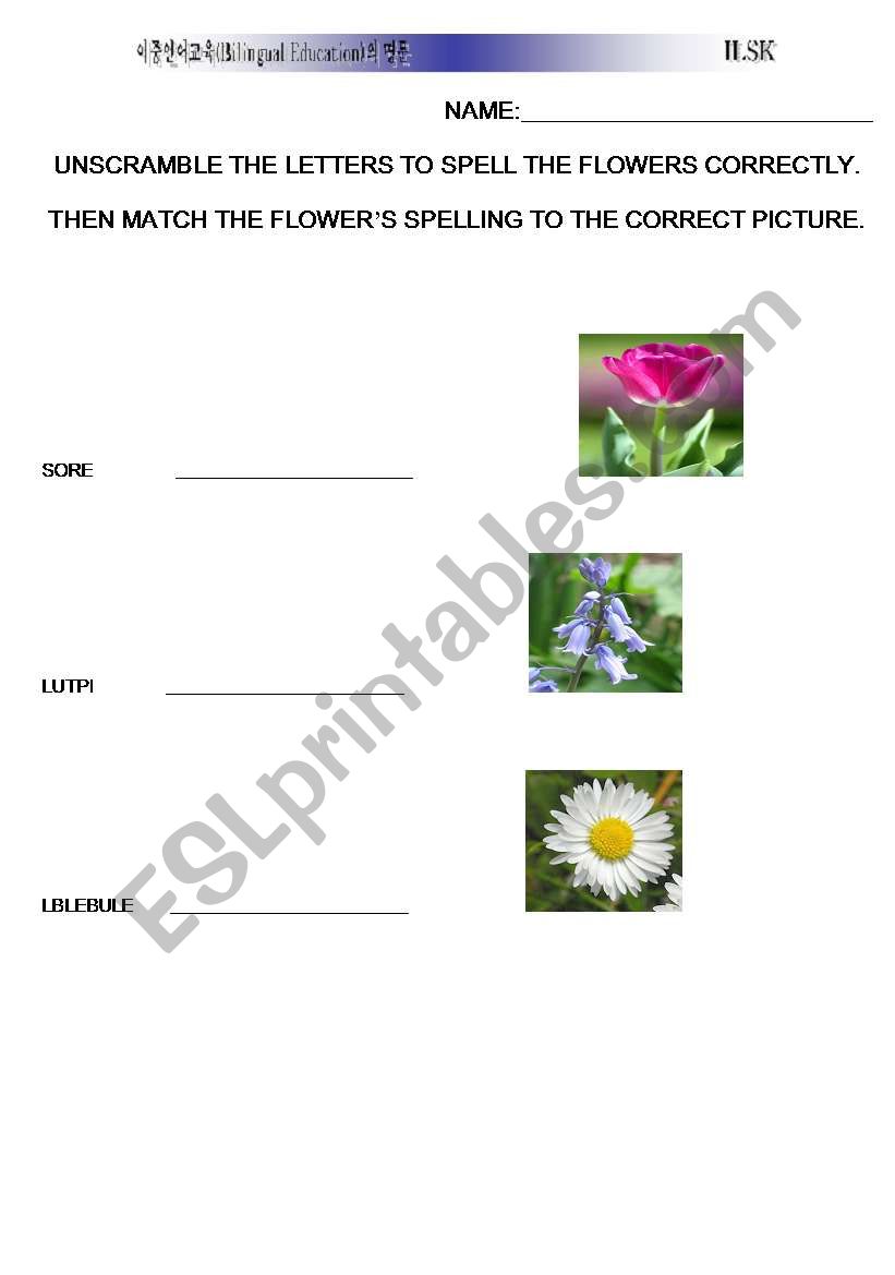 spelling/ matching flower worksheet