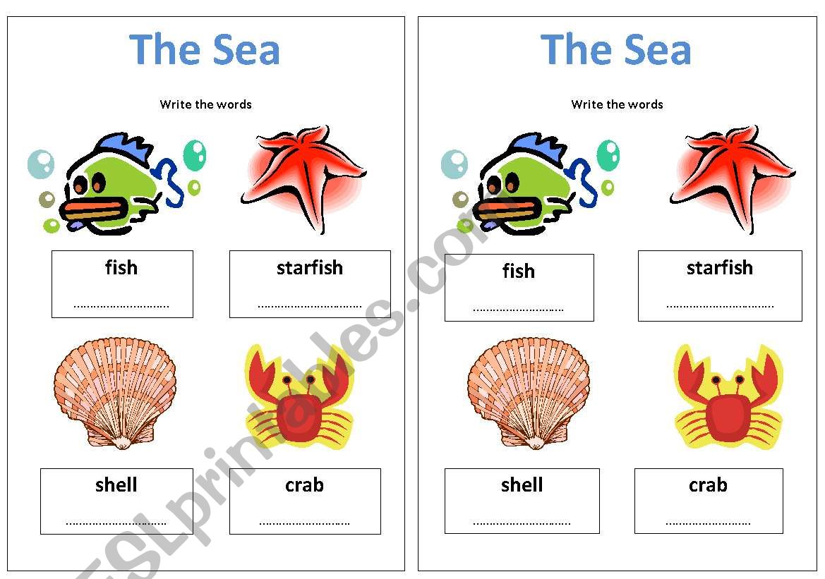 The Sea worksheet