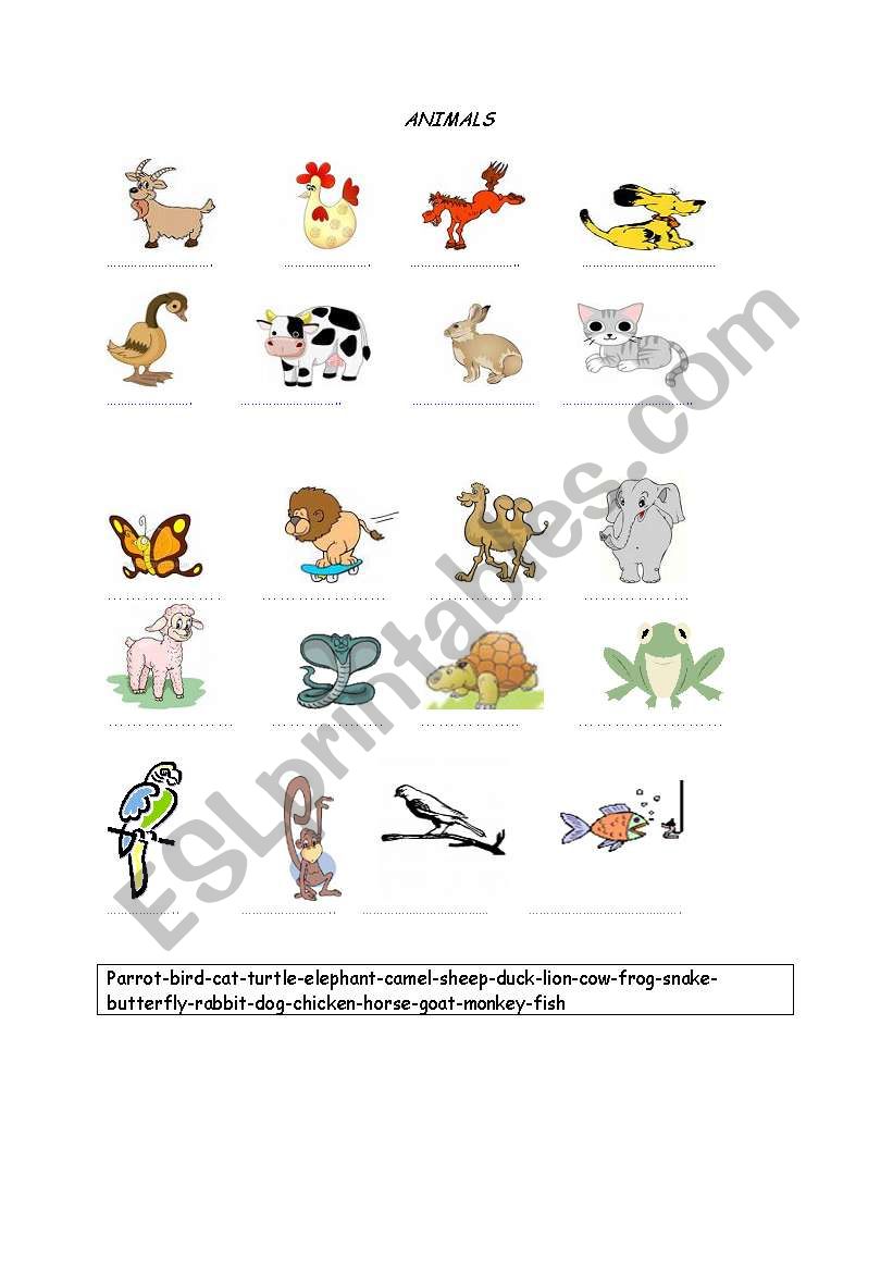 animals matching  worksheet