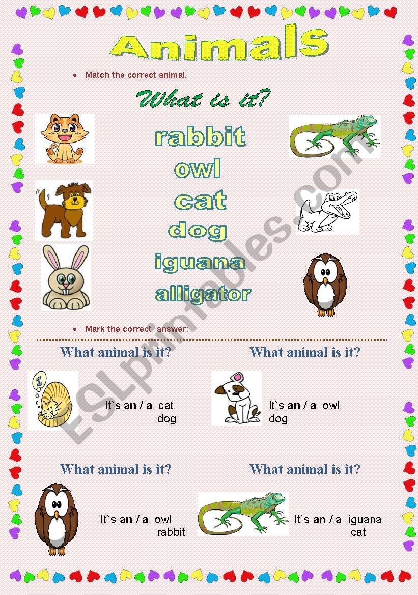 Animals worksheet