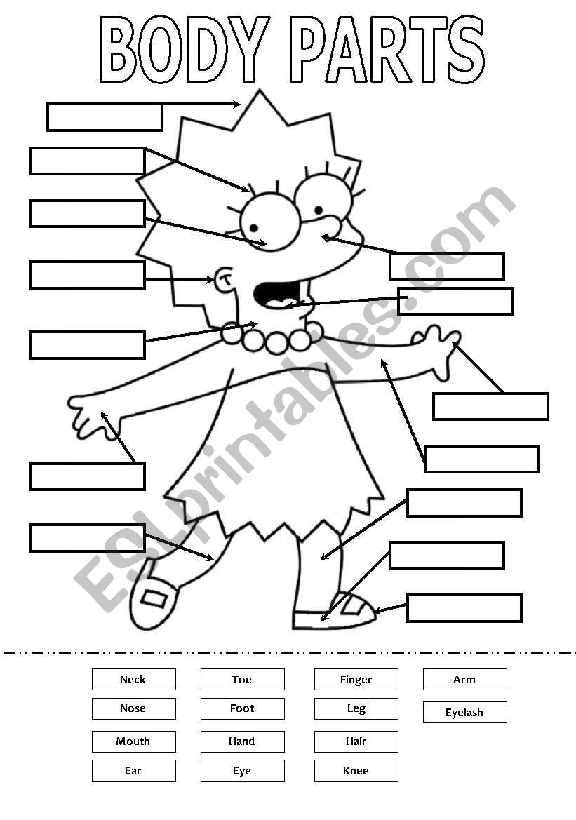 Body parts worksheet