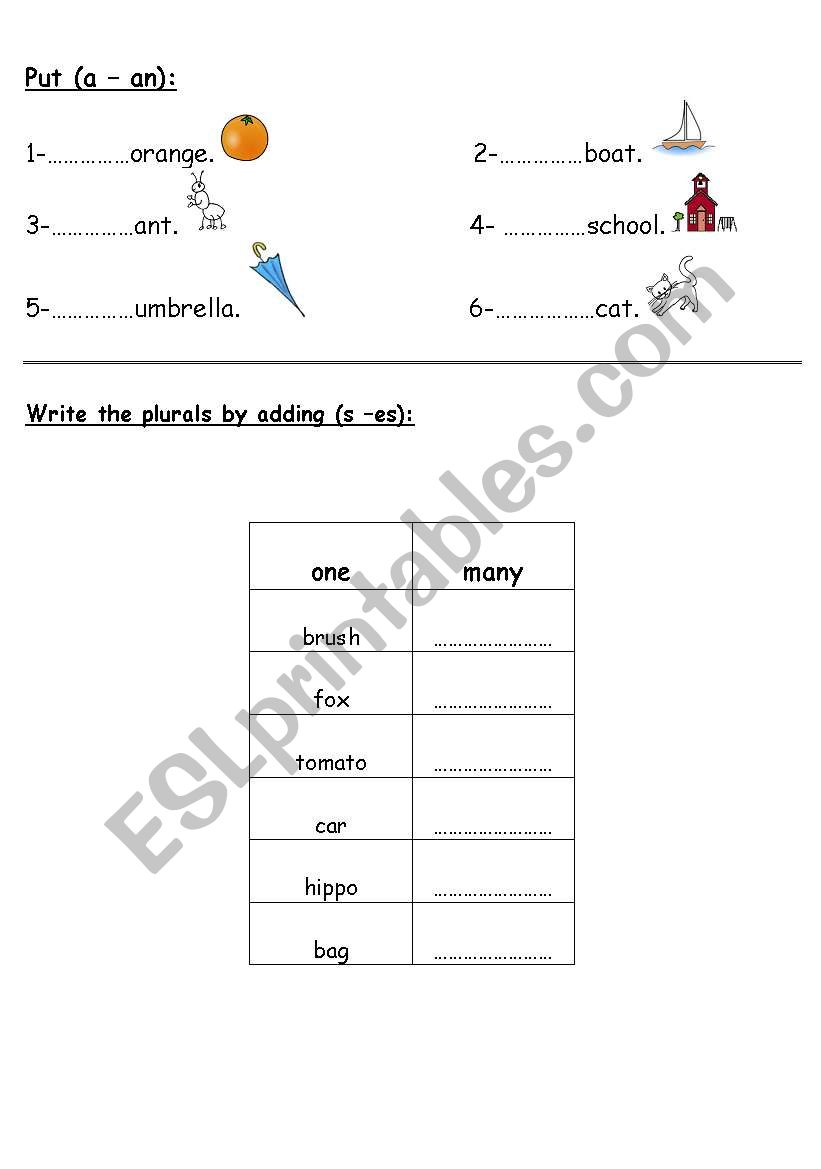 A- An / Plural worksheet