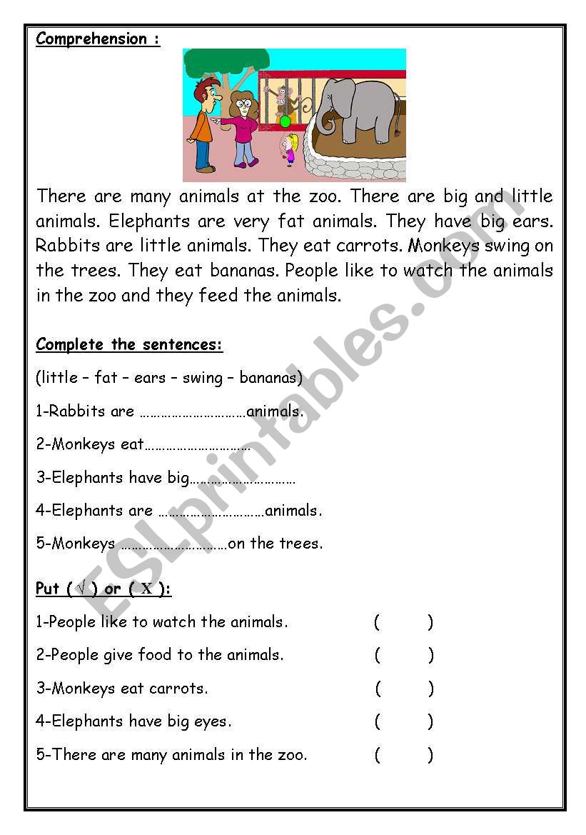 Comprehension worksheet