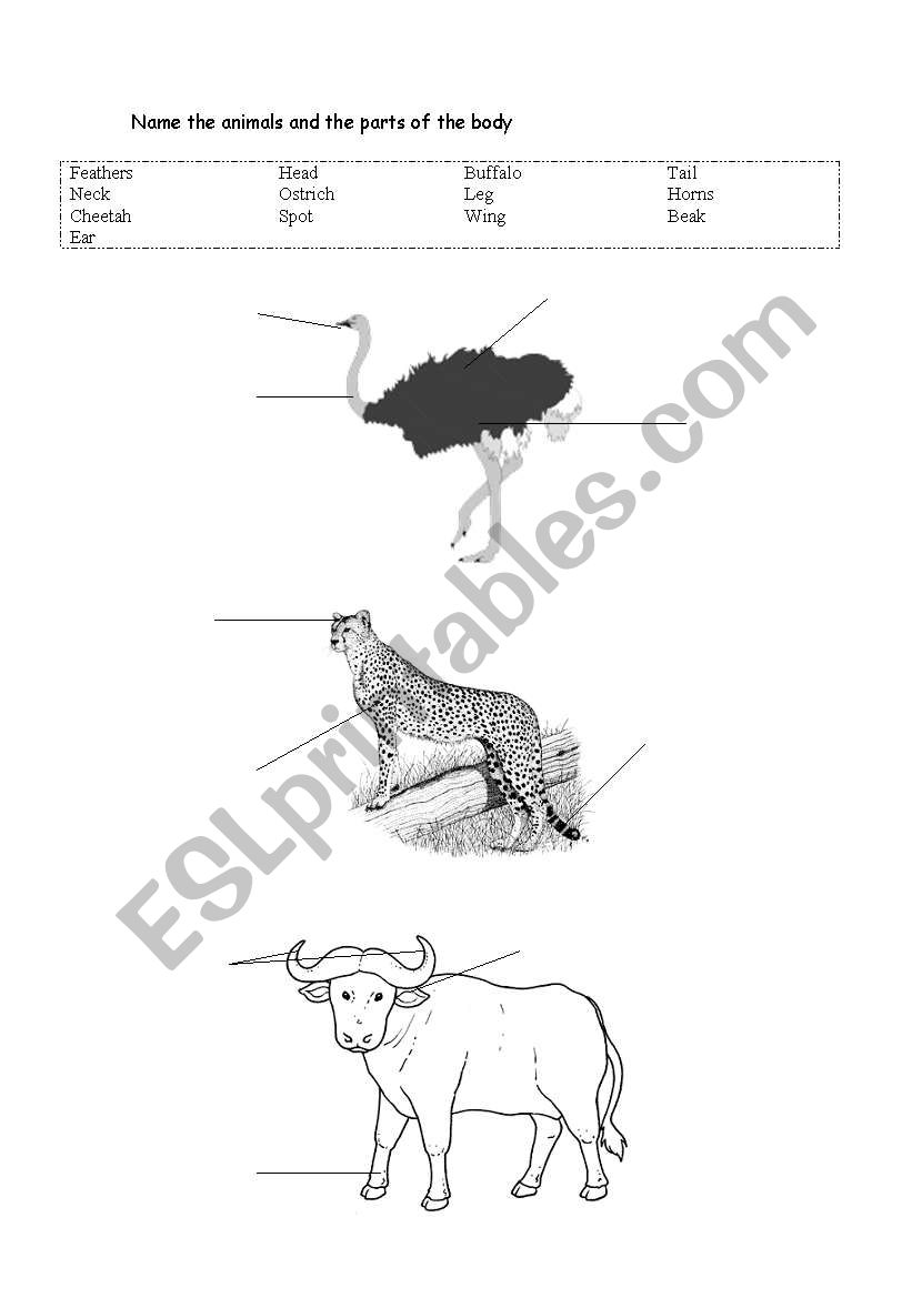 Animals and parts of the body worksheet