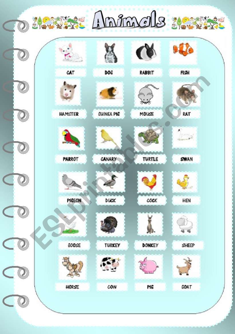 Animals 1 _Pictionary worksheet