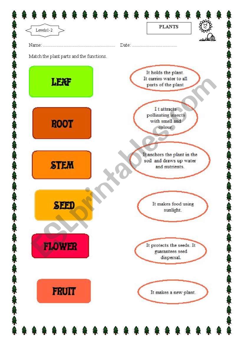 English Worksheets Plant Parts And Functions
