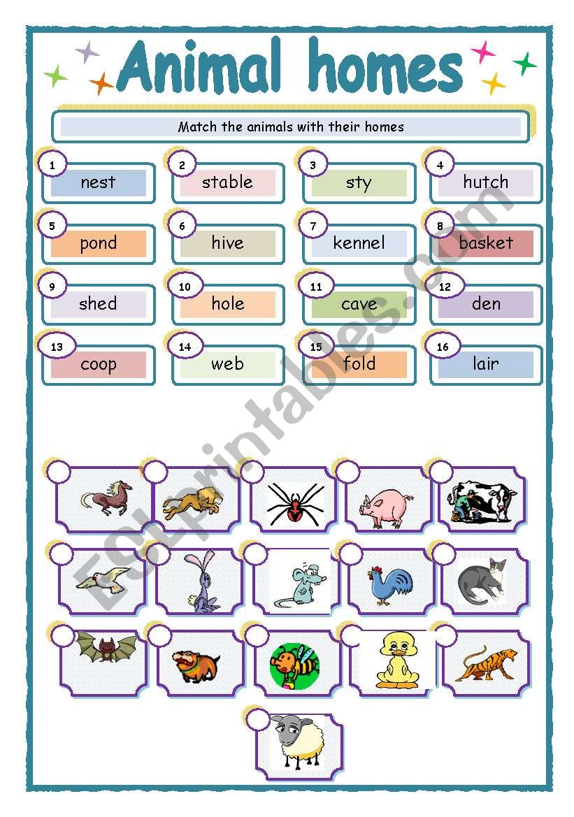 animal homes  worksheet