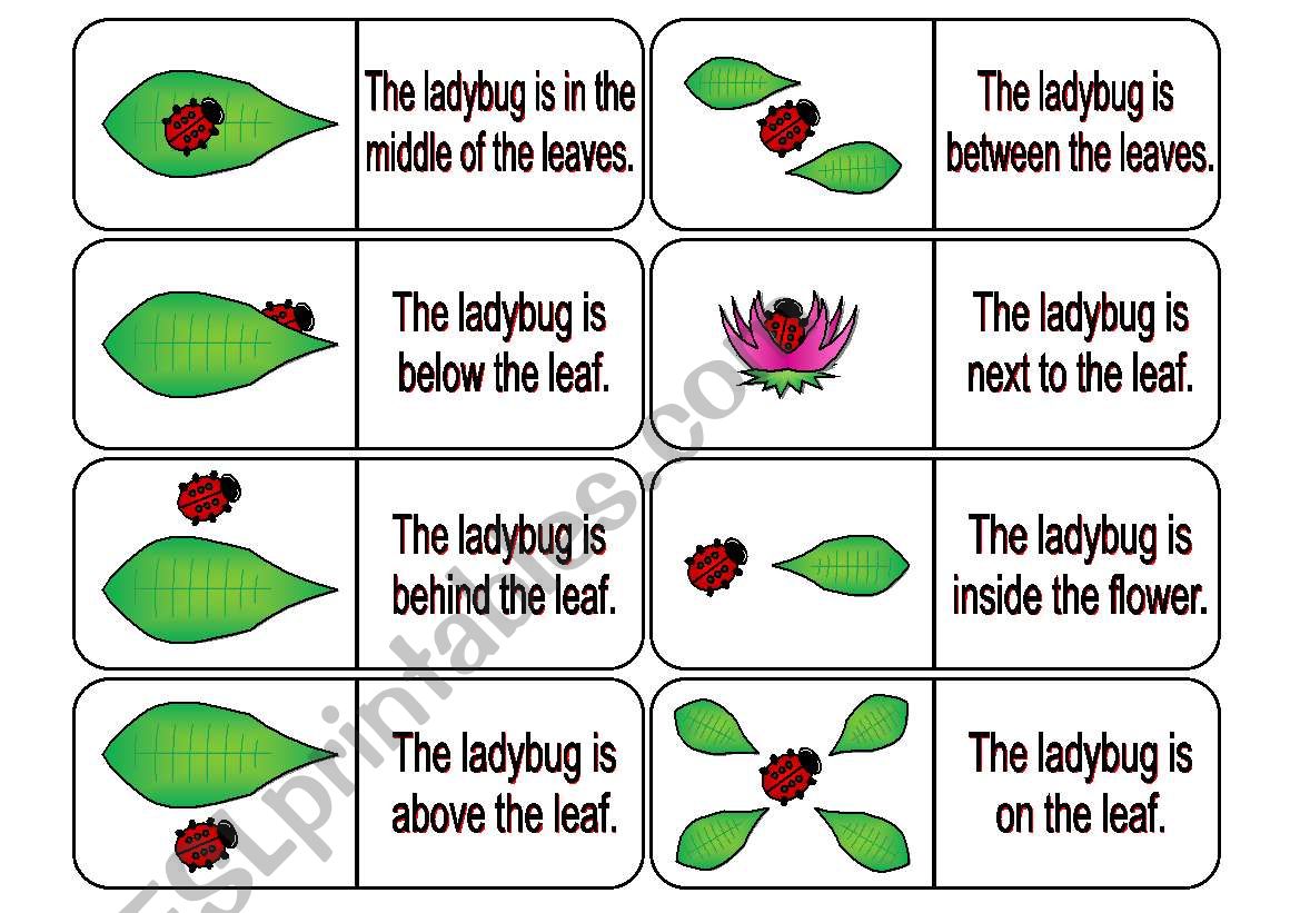 Where is the Ladybug? Preposition Dominoes Part 1 (64 cards in all with review wheels and bookmarks)