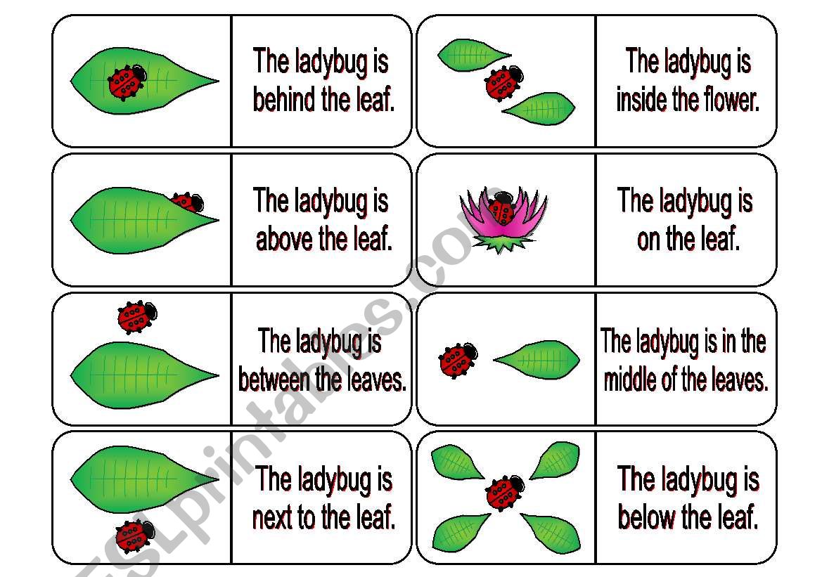 Where is the Ladybug? Preposition Dominoes Part 2 (64 cards in all with review wheels and bookmarks)