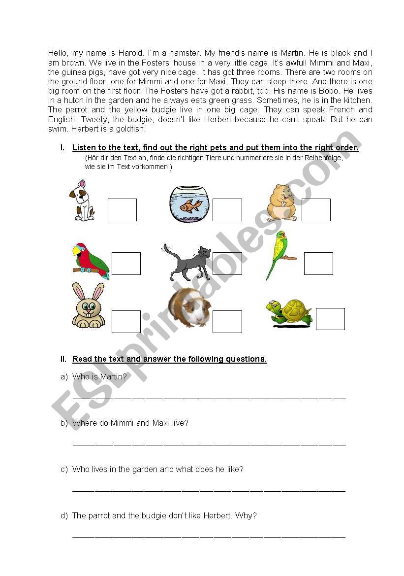 Text and exercises about pets worksheet