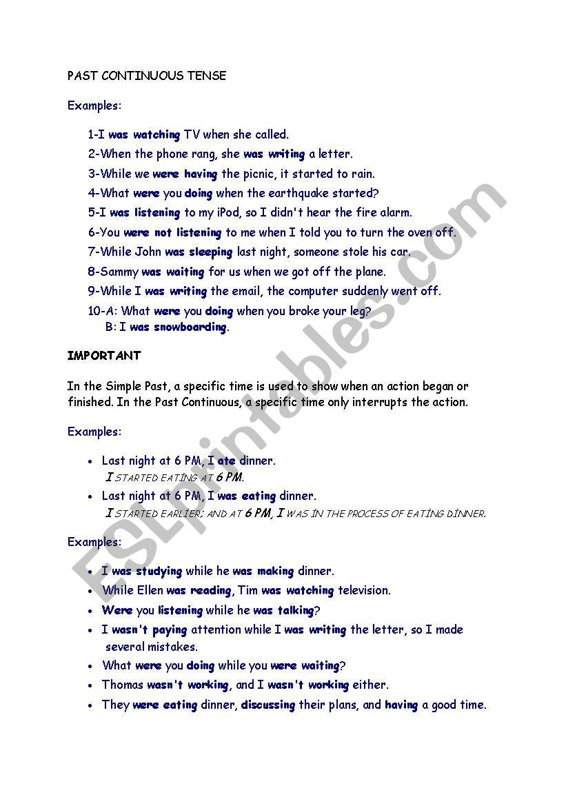 PAST CONTINUOUS TENSE worksheet