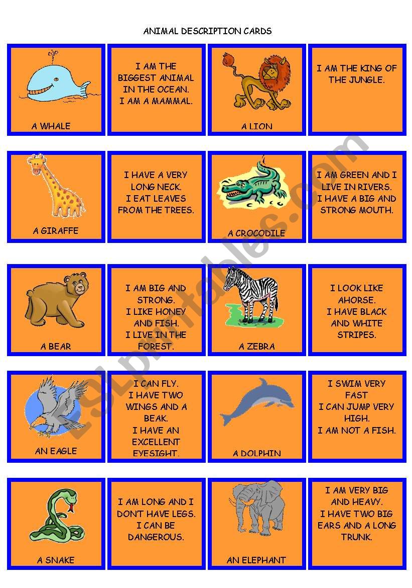 SET 2. ANIMAL DESCRIPTIONS worksheet