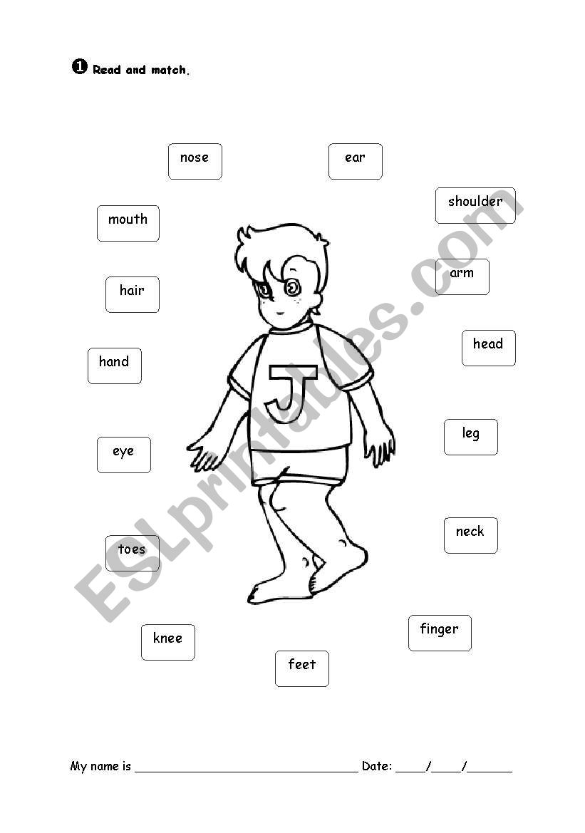 Body Parts worksheet