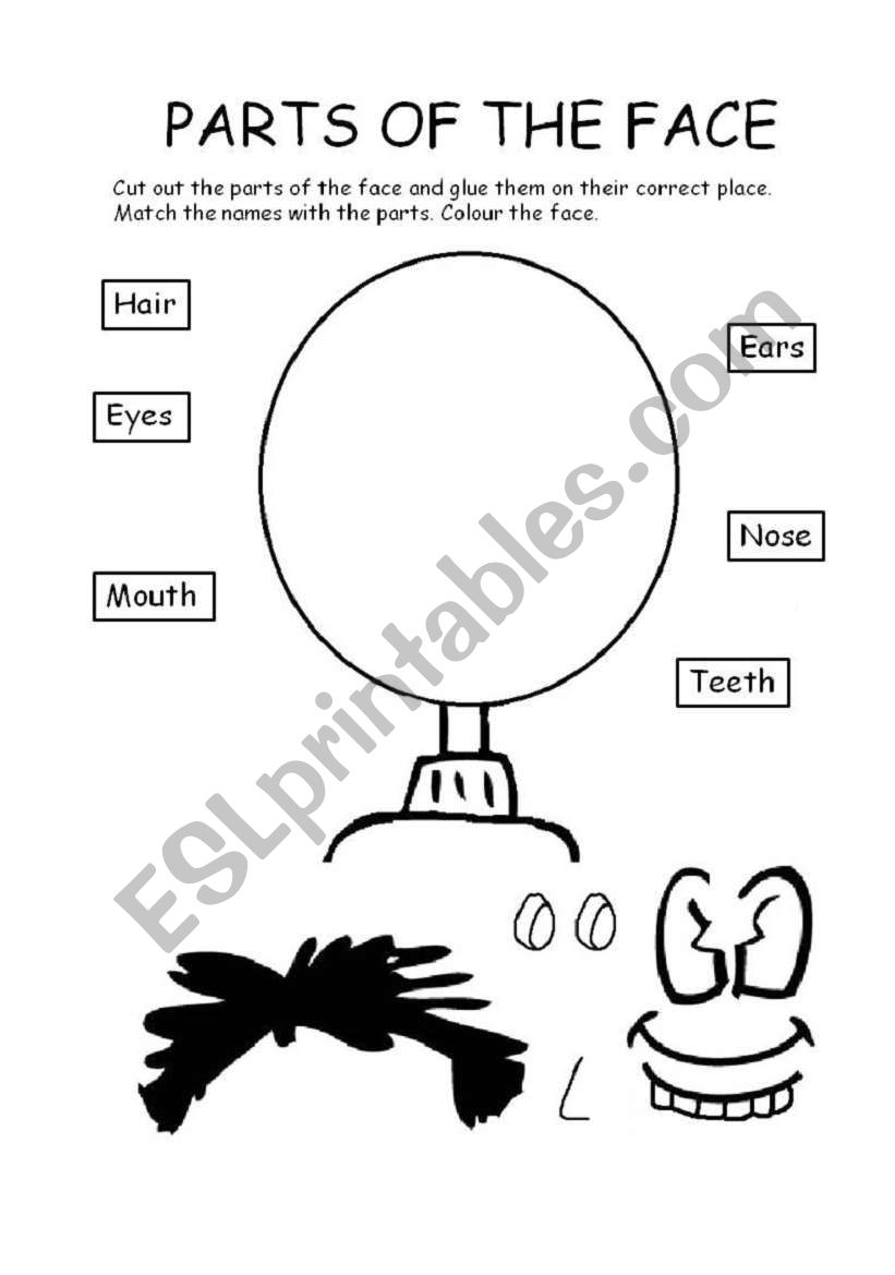 Parts of the face worksheet