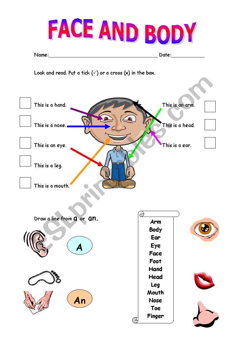 Face and body worksheet