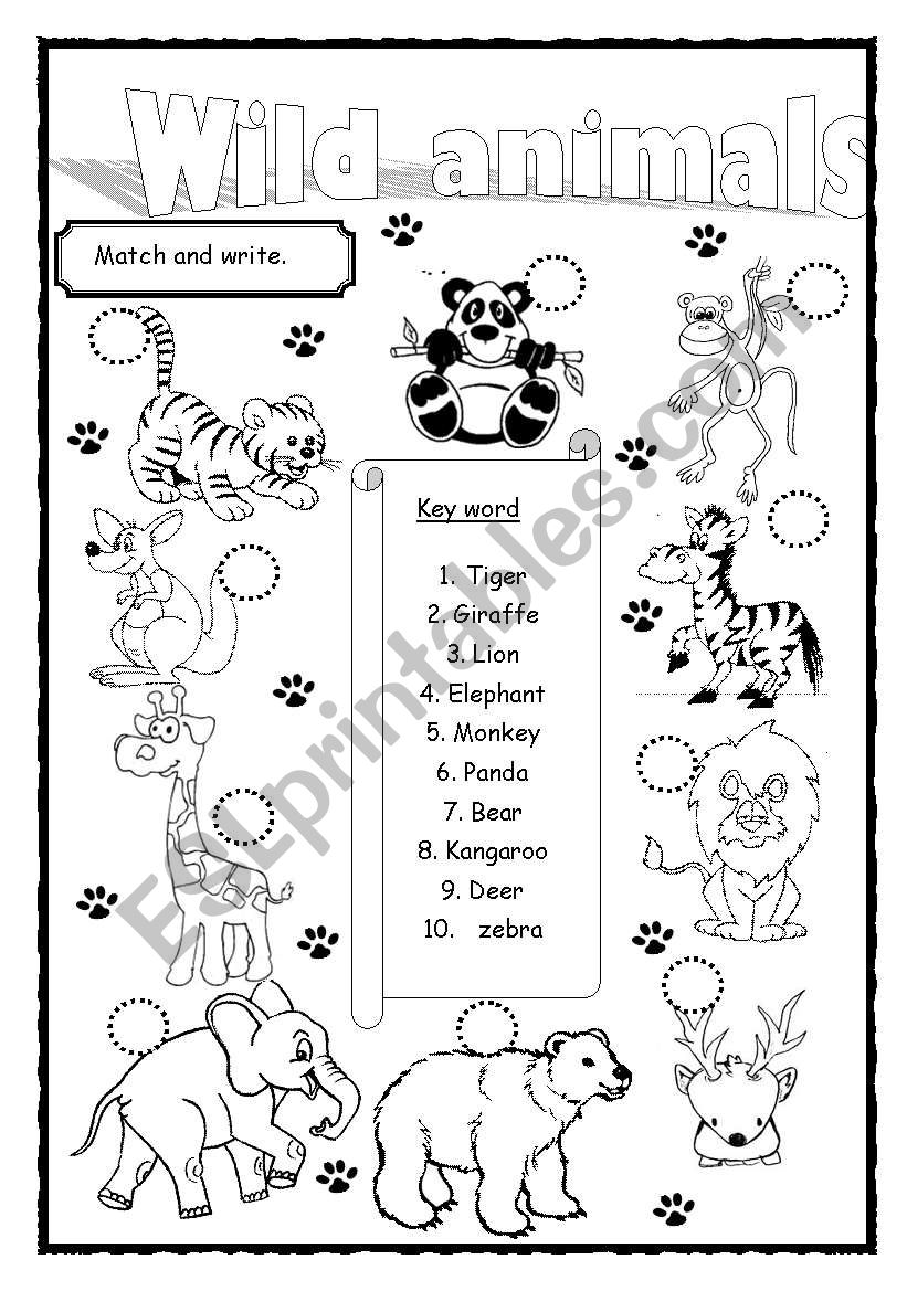 Wild animals worksheet