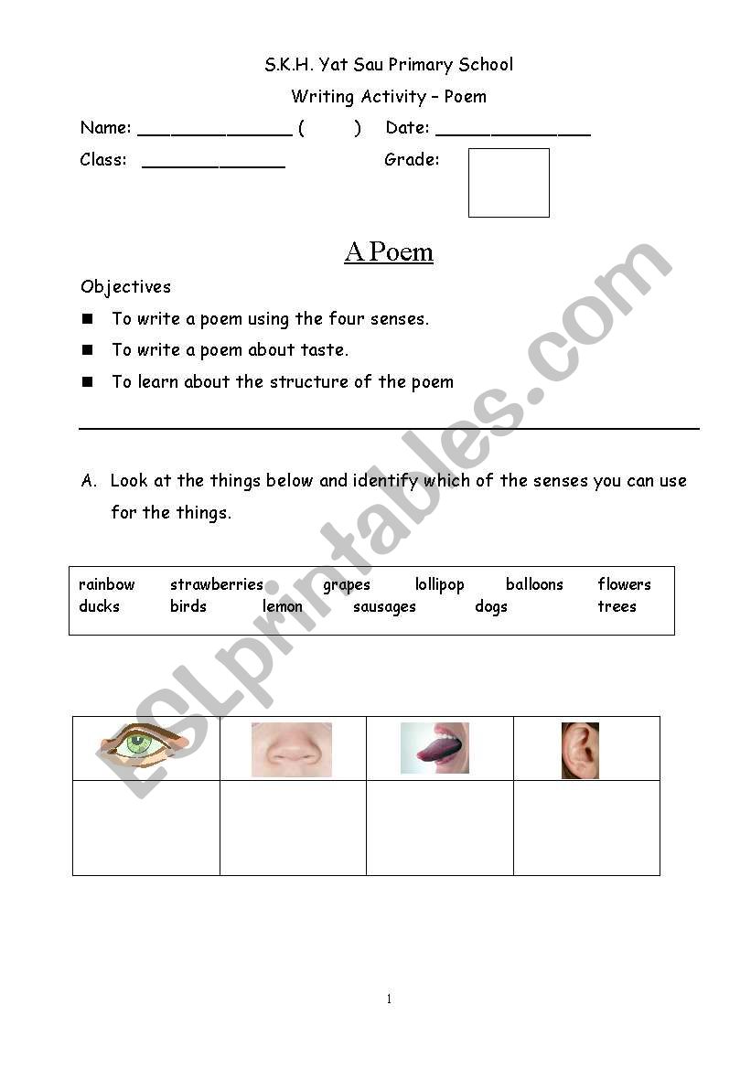 The Four Senses worksheet