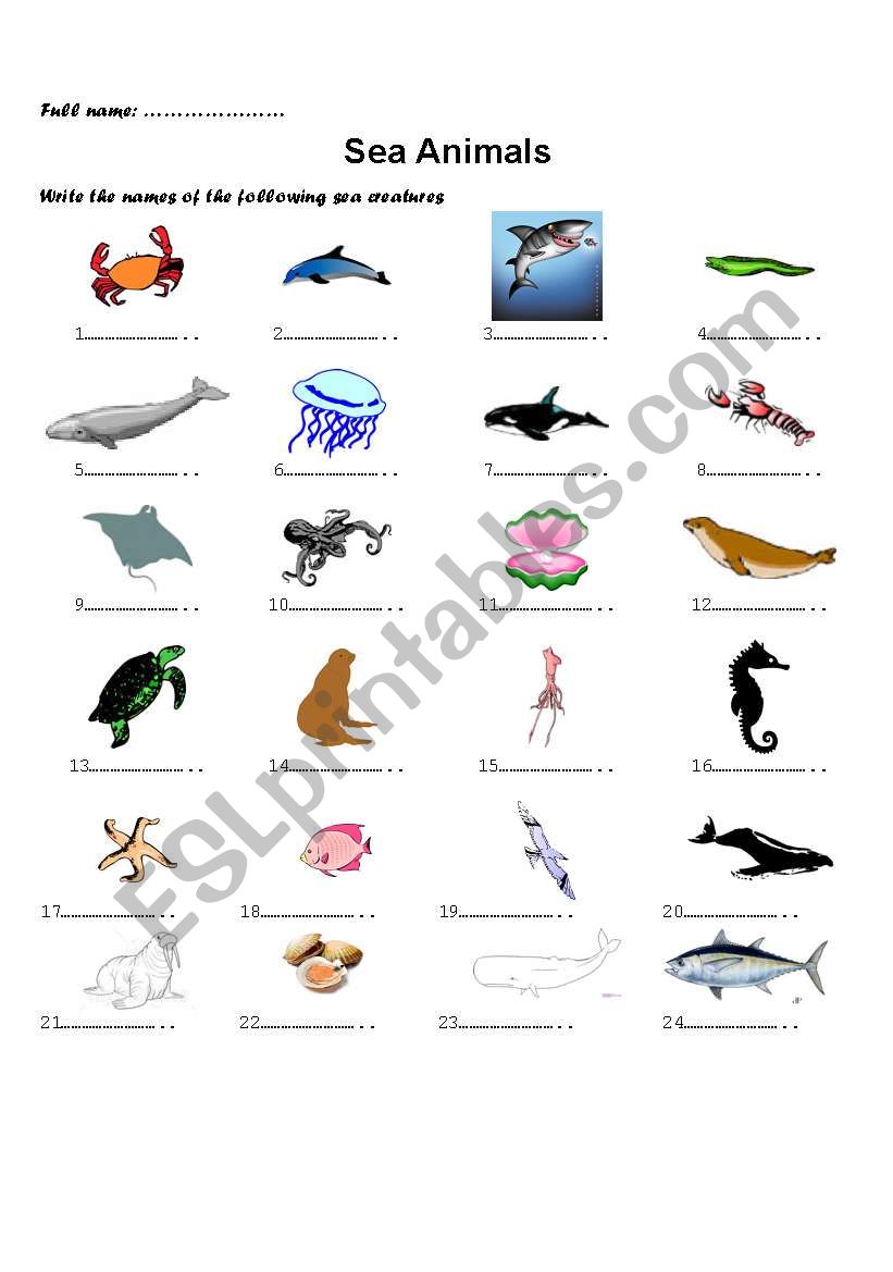 Sea animals worksheet