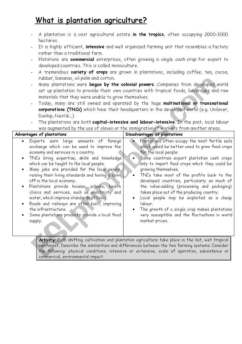 Plantation Agriculture worksheet