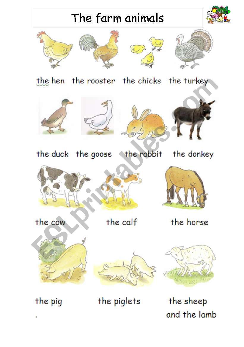 Farm Animals worksheet