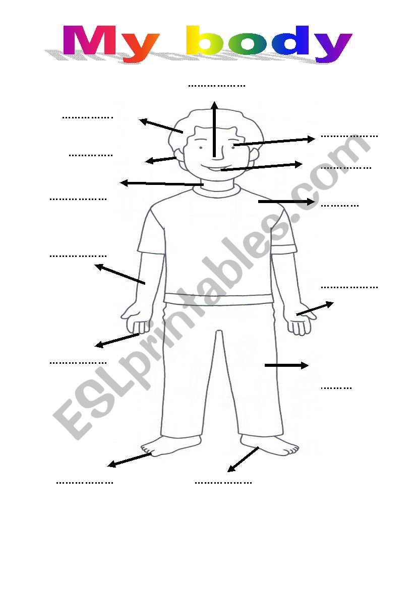 My body worksheet