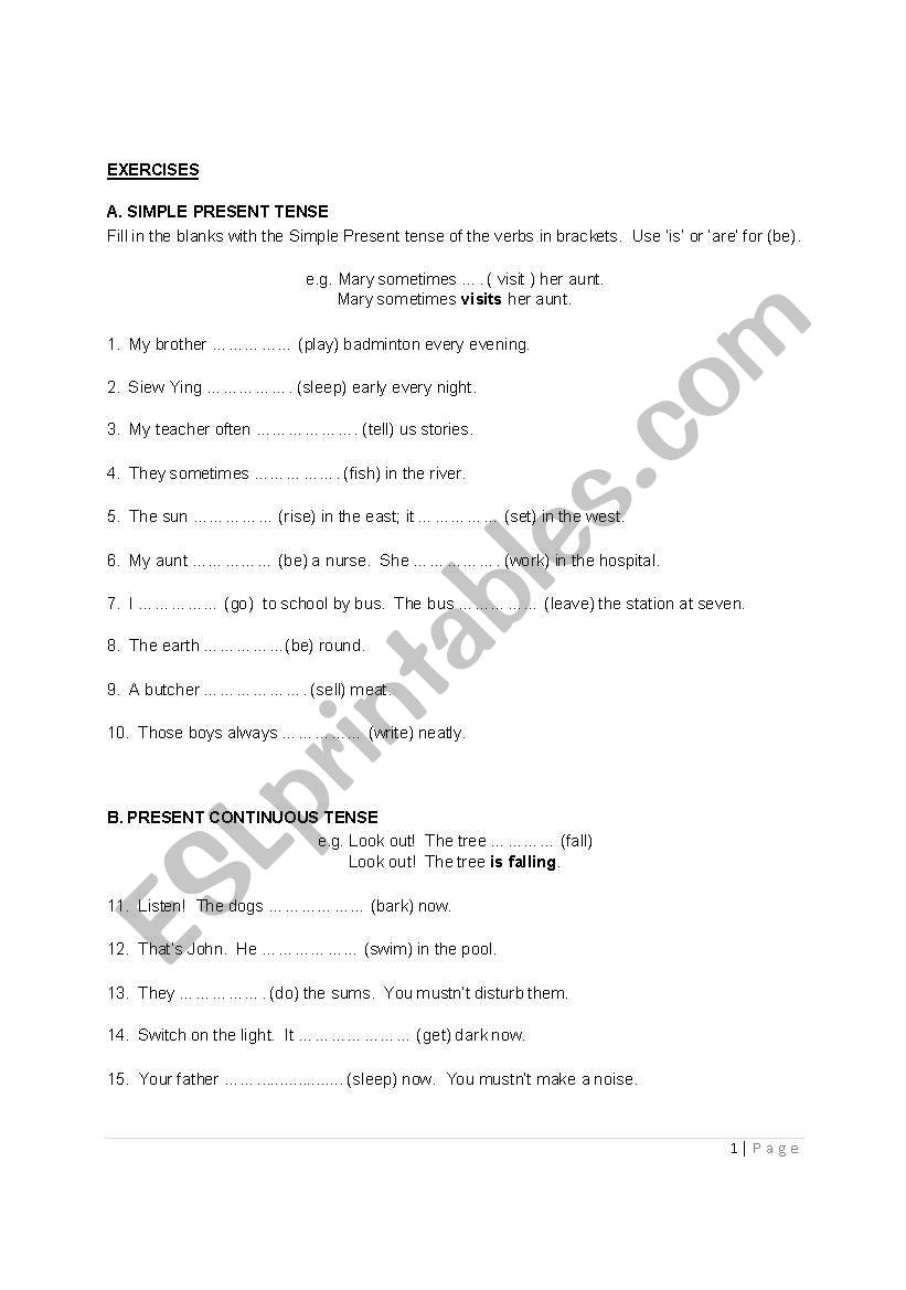 Present Tense exercises worksheet