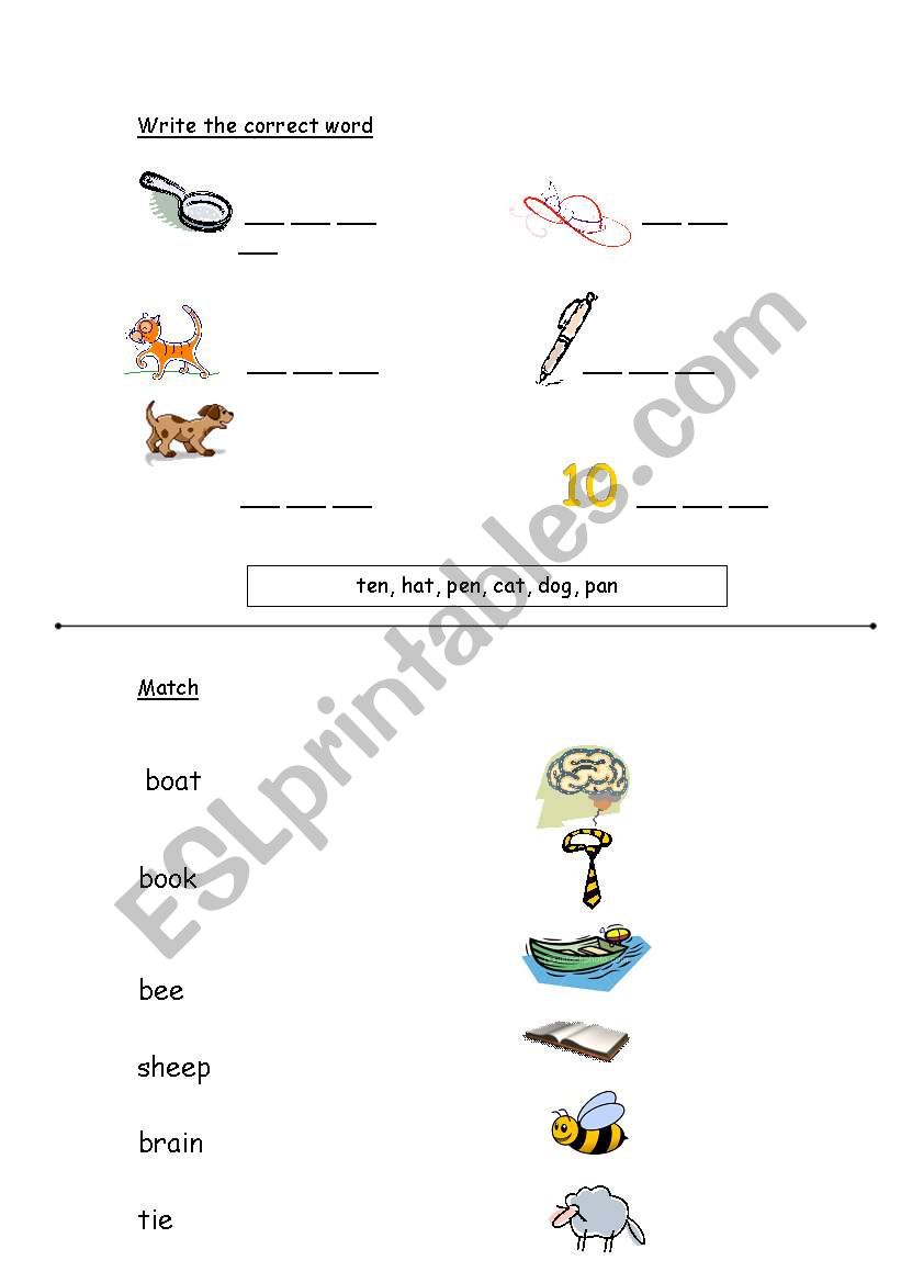 Phonics exercises worksheet