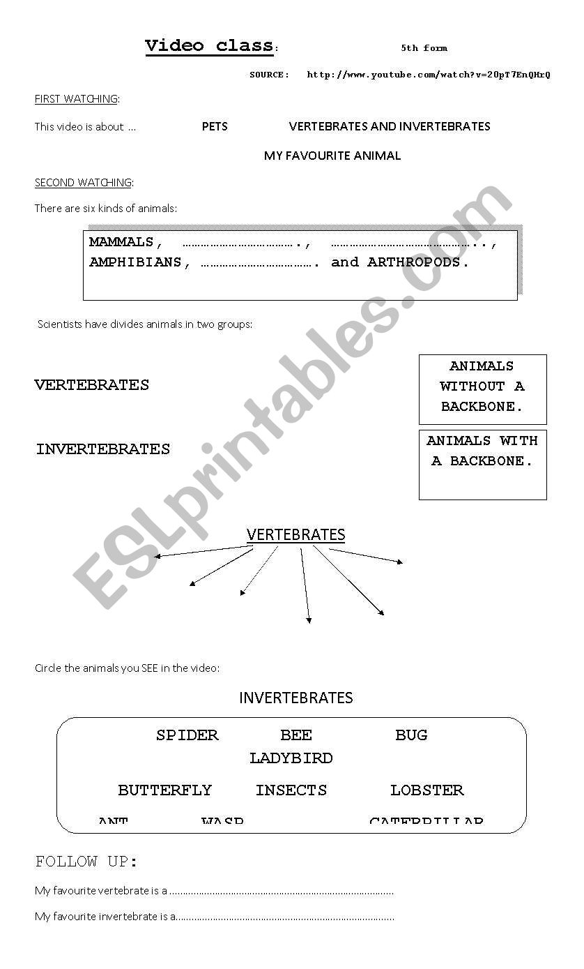 vertebrate and invertebrate animals