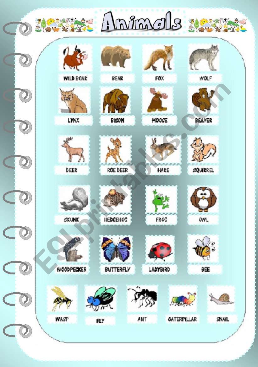 Animals 2 - Pictionary worksheet