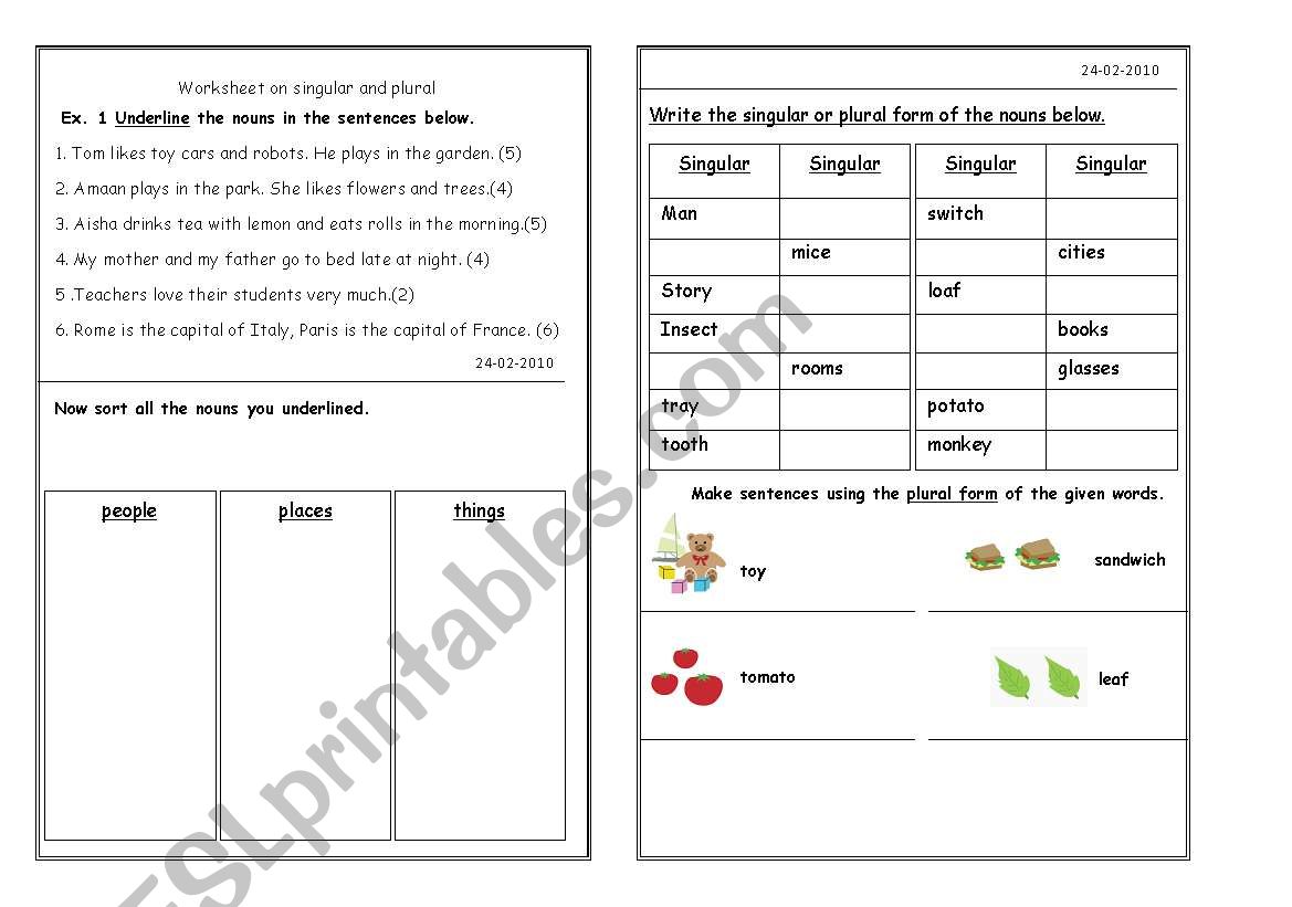 singular and plural worksheet