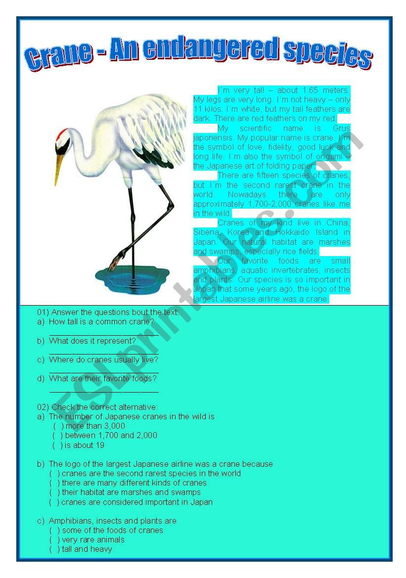 CRANE worksheet