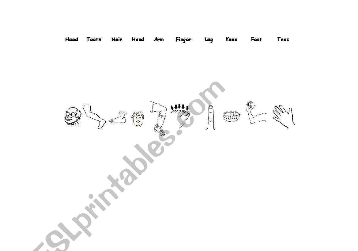 Matching parts of the body worksheet