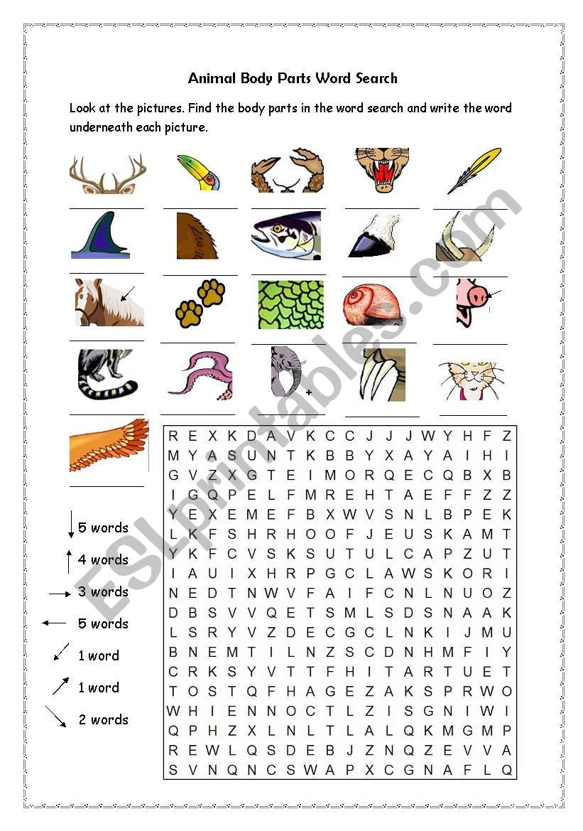 Animal body parts word search worksheet