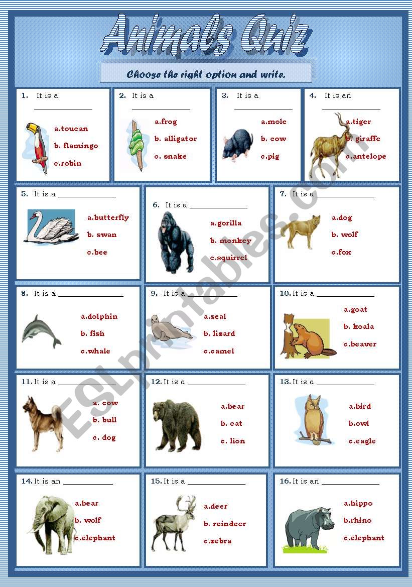 animals quiz(editable) worksheet